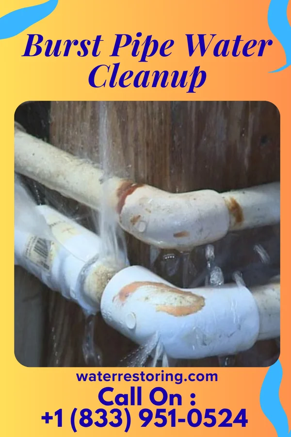 Burst Pipe Water Cleanup in Laurel Mountain, PA