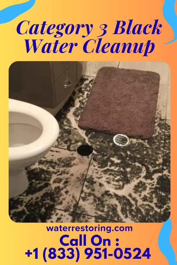 Category 3 Black Water Cleanup in Laurel Mountain, PA