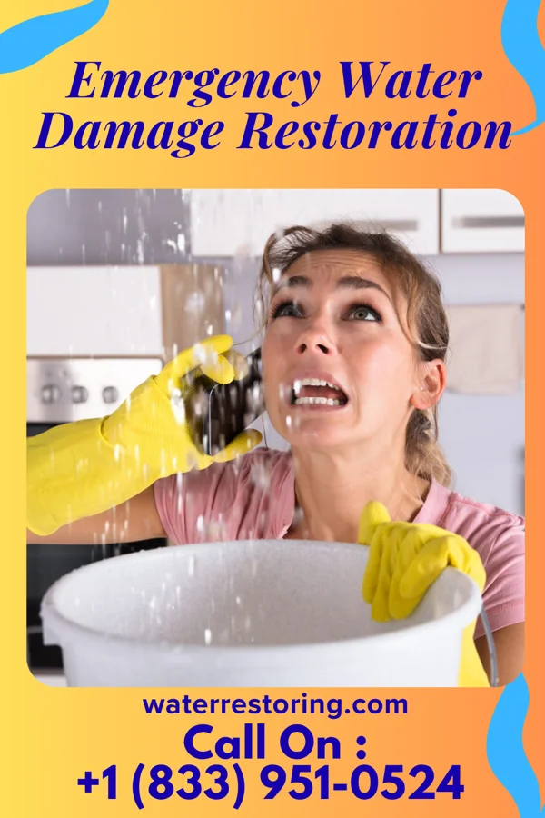 Emergency Water Damage Restoration in Laurel Mountain, PA