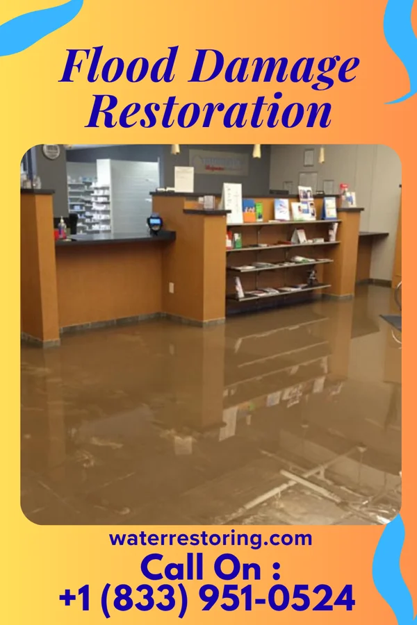 Flood Damage Restoration in Laurel Mountain, PA