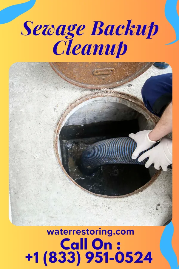 Sewage Backup Cleanup in Laurel Mountain, PA