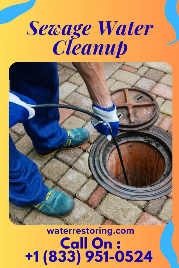 Sewage Water Cleanup in Laurel Mountain, PA